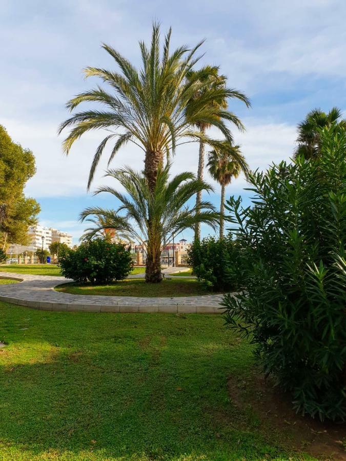 Apartament Margaret Torrevieja Esterno foto